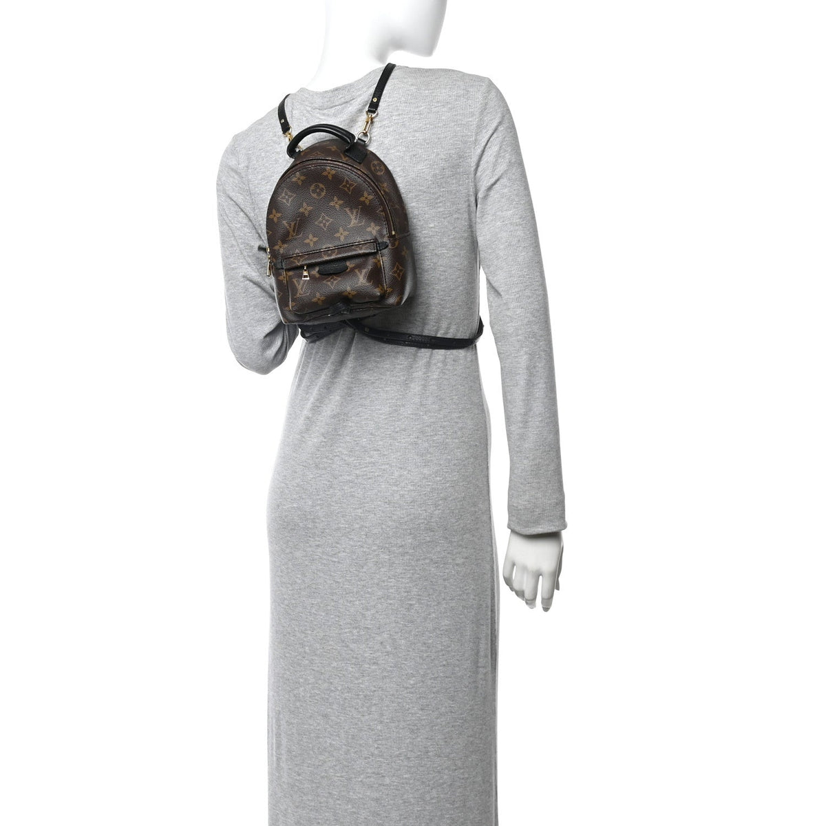 Monogram Palm Springs Backpack Mini