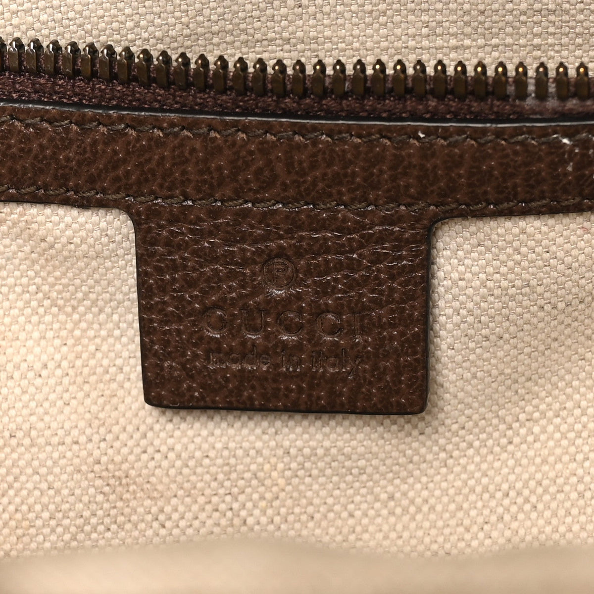 GG Supreme Monogram Medium Ophidia Day Backpack Brown