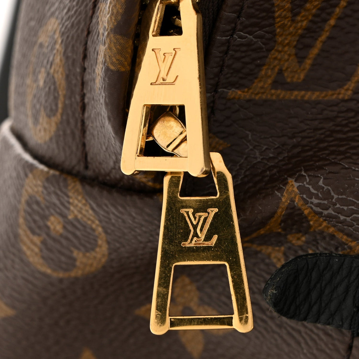 Monogram Palm Springs Backpack MM